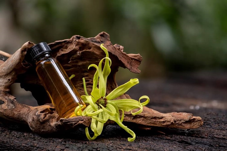 Ylang Ylang Yağı Sakal Çıkarır Mı?