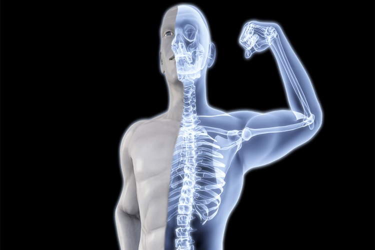 Yoga Kasları Güçlendirir Mi?