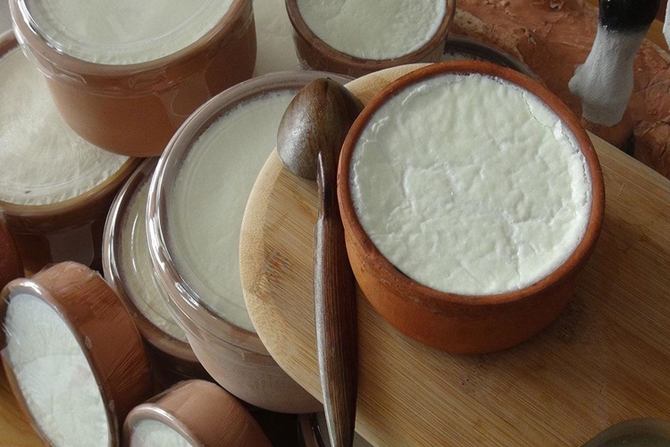 Yoğurt Nerede Meşhur?