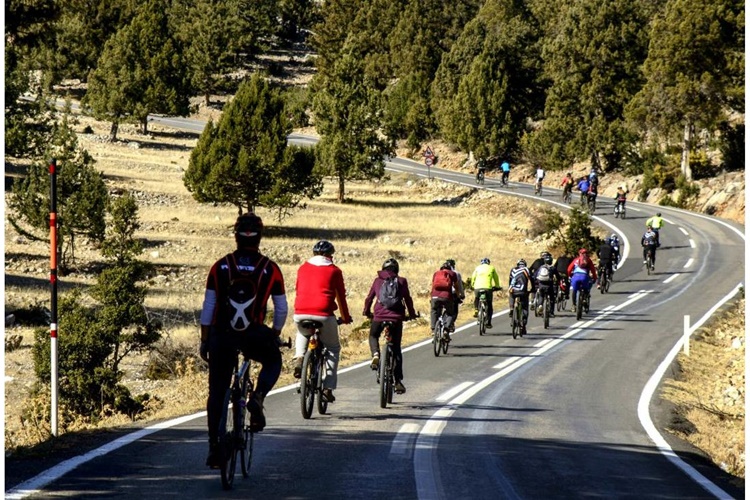Yol Bisikleti Ve Dağ Bisikleti Farkı Nedir?