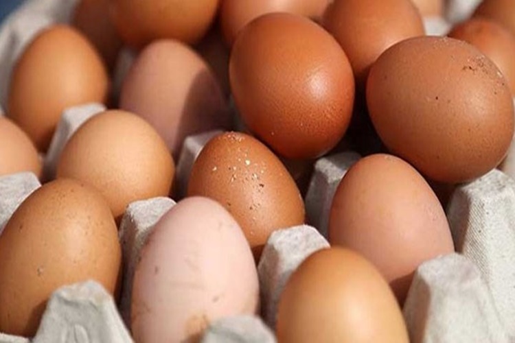 Yumurta Besin Değeri Nedir?
