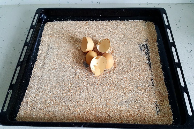 Yumurta Kabuğu Nasıl Tüketilir?