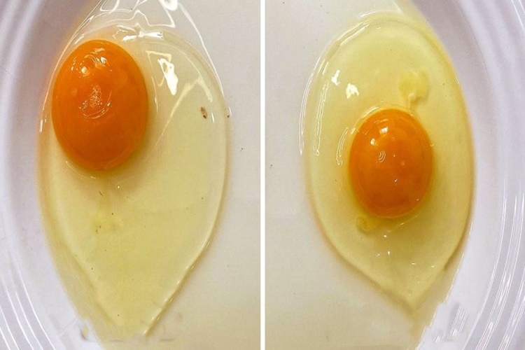 Yumurtanın Doğal Olduğunu Nasıl Anlarız?