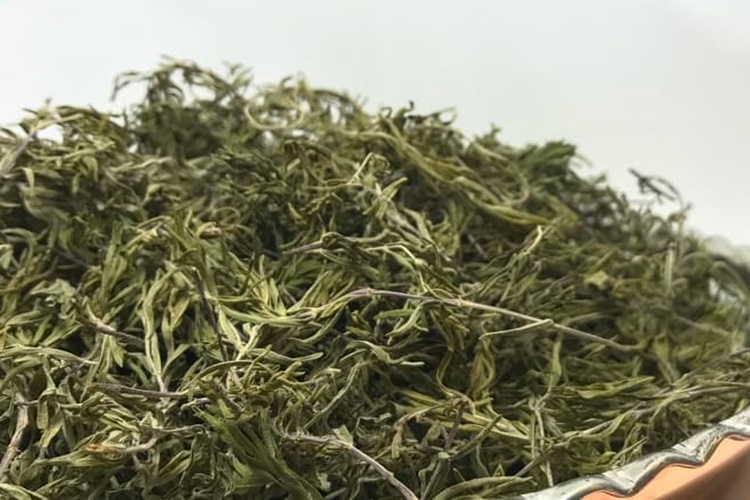 Zahteri Kimler Kullanamaz?