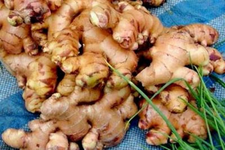 Zencefil Kuranda Hangi Surede Geçiyor?