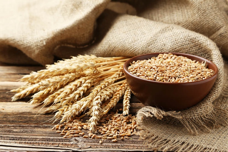 Zerun Buğdayı Gluten İçerir Mi?