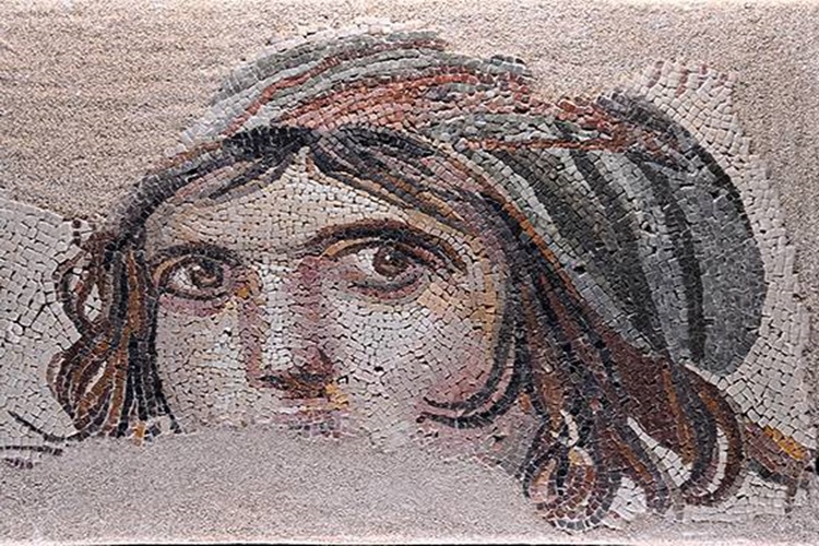 Zeugma Müzesinde Müze Kart Geçerli Mi?