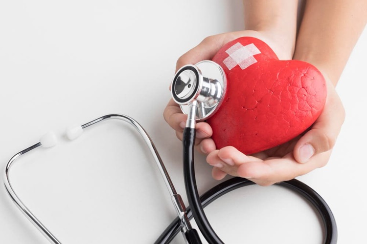 Zeytin Kolesterolü Yükseltir Mi?