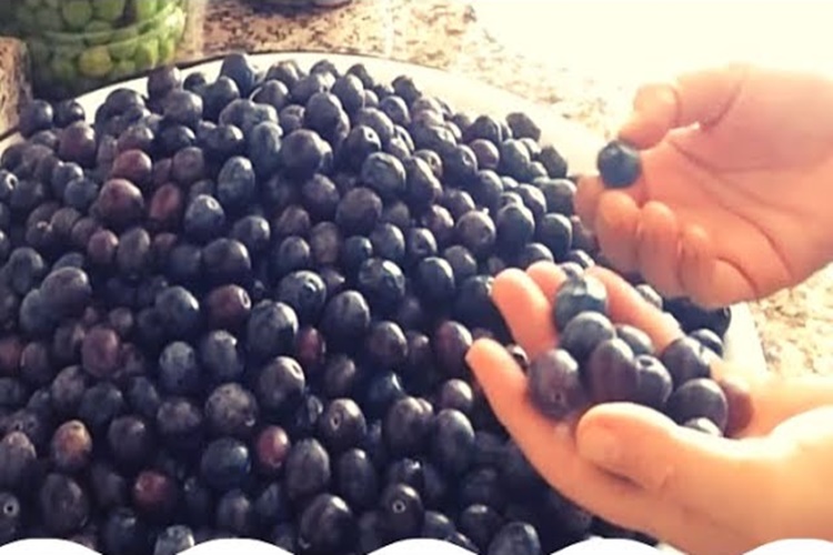 Zeytin Nasıl Demlenir?