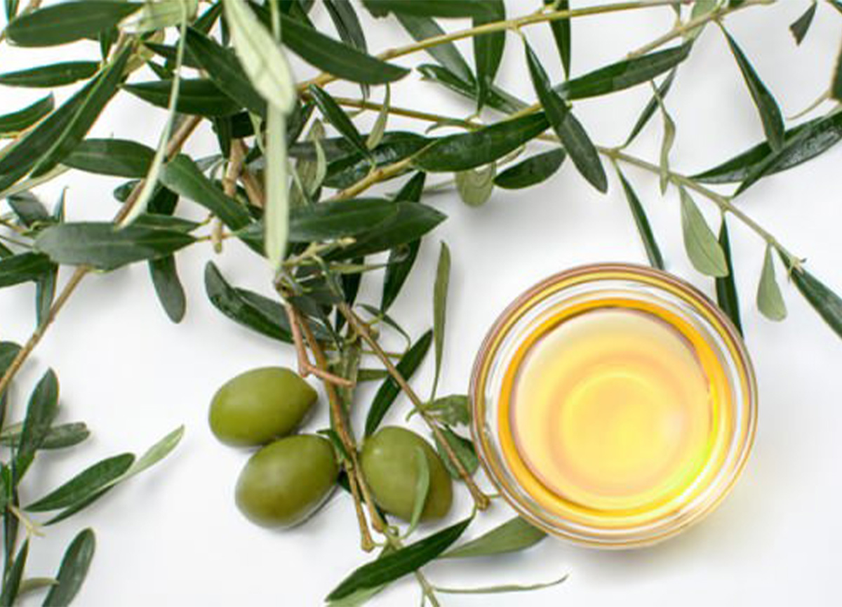 Zeytin Yaprağı Çayı Faydaları Nelerdir?