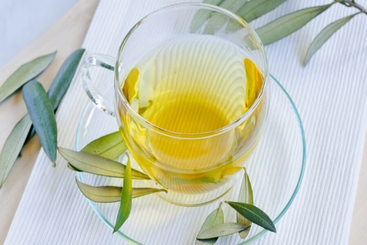 Zeytin Yaprağı Çayı İdrar Söktürür Mü?