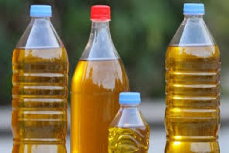 Zeytinyağı Plastik Şişeye Konur Mu?