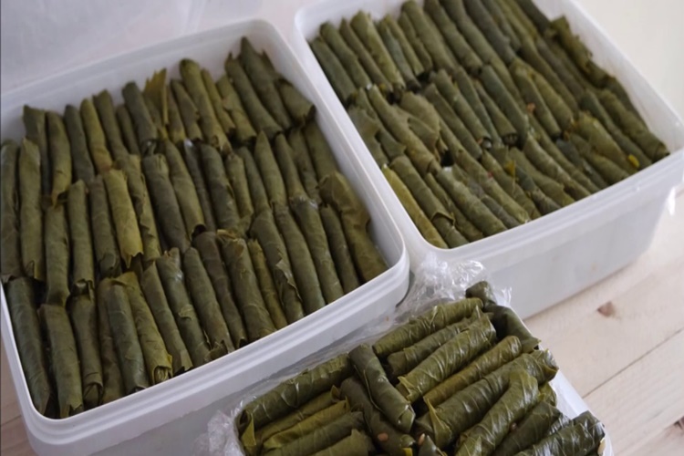 Zeytinyağlı Sarma Derin Dondurucuda Nasıl Saklanır?