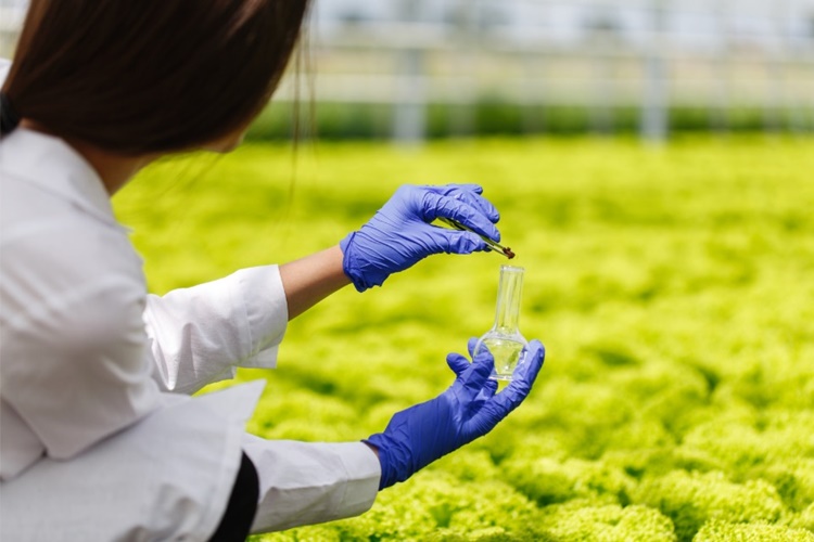 Ziraat Teknikeri Olmak İçin Hangi Bölüm Okunmalı?