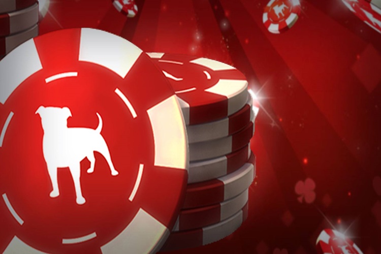 Zynga Arkadaş Ekleme Nasıl Yapılır?